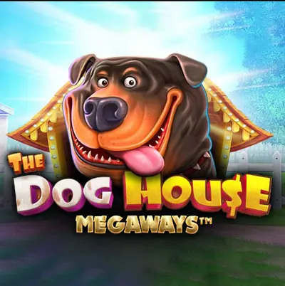 the dog house demo
